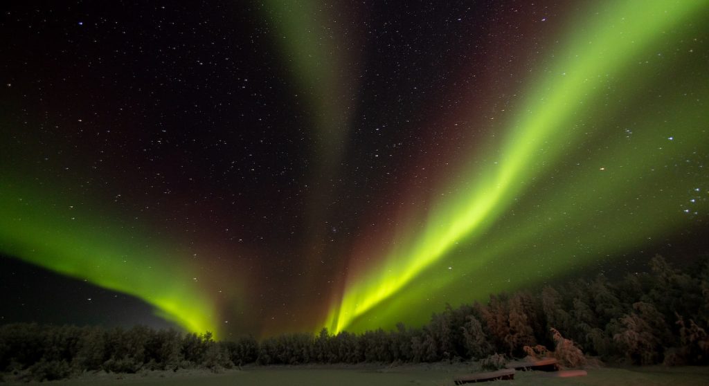 a green and red aurora bore in the night sky